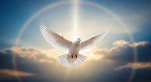 white dove