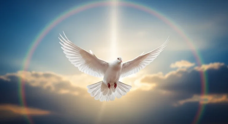 white dove